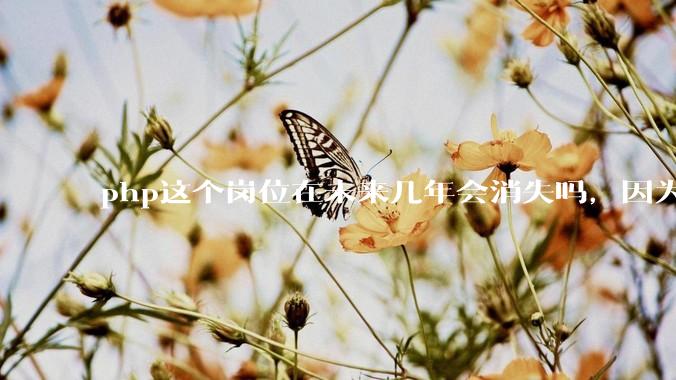 php这个岗位在未来几年会消失吗，因为刚从事php有点焦虑?