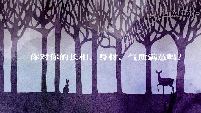 你对你的长相、身材、气质满意吗？