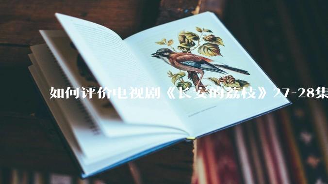 如何评价电视剧《长安的荔枝》27-28集？