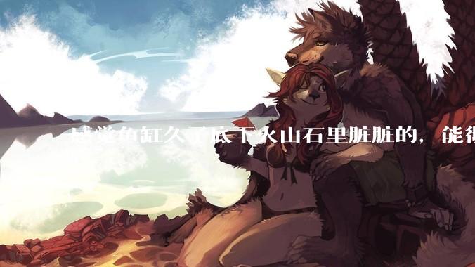 感觉鱼缸久了底下火山石里脏脏的，能彻底换水清理一遍不？