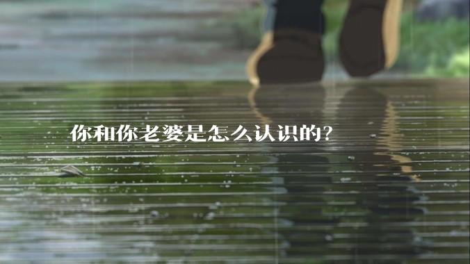 你和你老婆是怎么认识的？