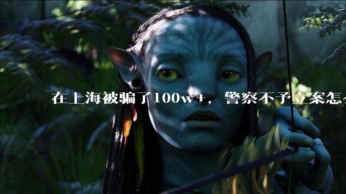 在上海被骗了100w+，警察不予立案怎么办？